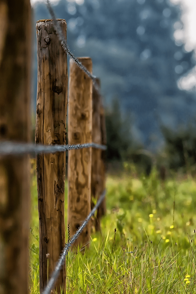 A Post and Wire Fence installed by a Rural Fencing Contractor in the Sunshine Coast